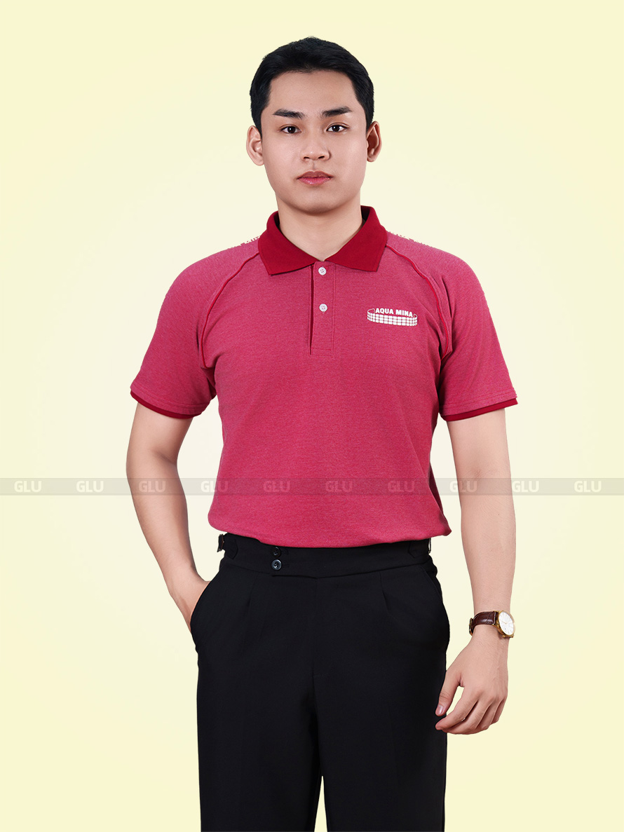 In áo thun đồng phục giá rẻ Thái Hòa 2